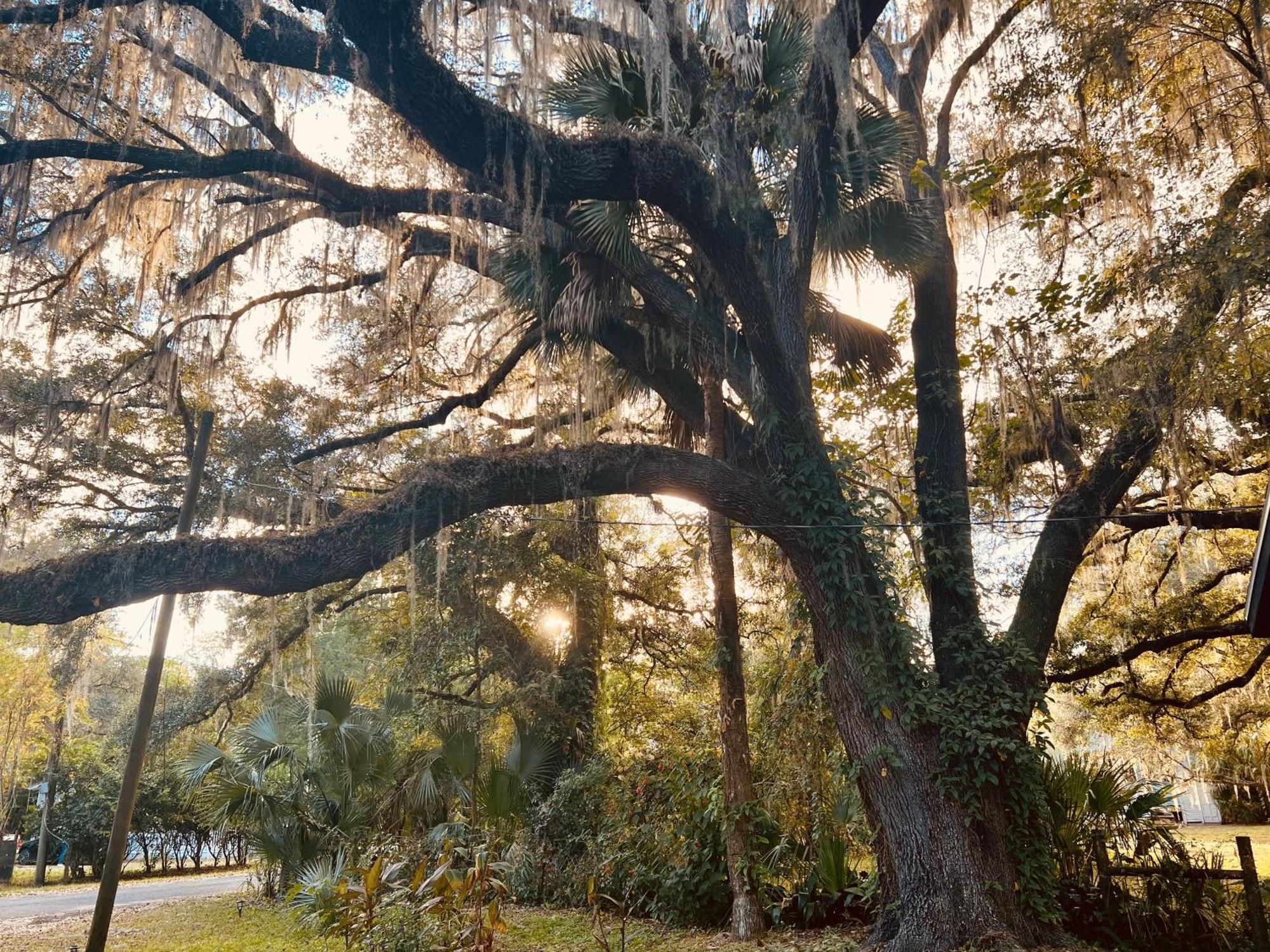 Country Welcome Micanopy Exterior photo